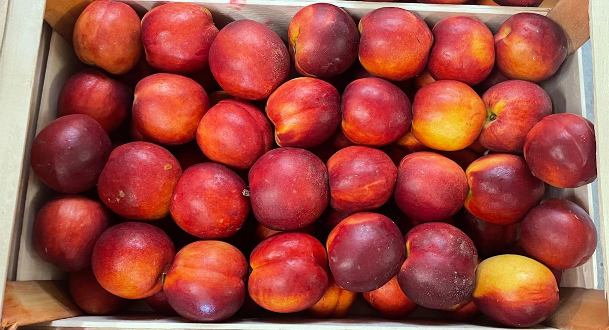 Nettarine - Italia - 1,50/2,00 euro al chilogrammo